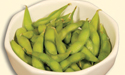Soy Bean