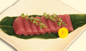 Maguro Sashimi