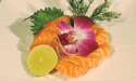 Salmon Sashimi
